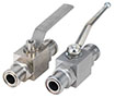 AES Series Two-Way Block Body Flange Head Ball Valves